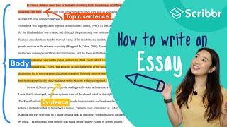 How to Write an Essay 4 Minute Step-by-step Guide  Scribbr 