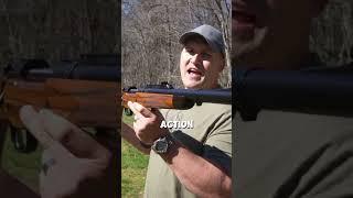 Kentucky Ballistics The 4 Bore vs Bear SKULL  #gun #experiment  #bullet