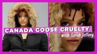 Sarah Jeffery Exposes Canada Gooses Cruelty