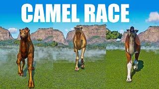 Camel Speed Race in Planet Zoo included North American Camel Dromedary Camel Bactrian Camel