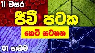 OL Science Sinhala  Grade 11 Science Unit 1  11 විද්‍යාව 1  ජීවී පටක