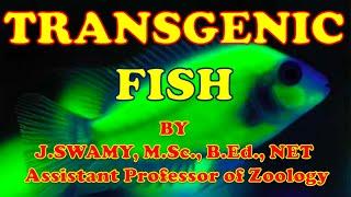 TRANSGENIC FISH