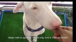 Pawspot pet toilet in India for dogs indoor outdoor toilet with flush and drainage system