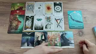 Tam Şu Anda Neler Hissediyor? Tarot