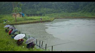 नागालैण्ड नागालैंड भारत।—Rural Village Area Life in Nagaland—Hindi Informative Video—EP#23