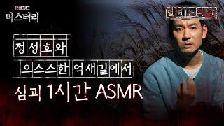 별 헤는 괴담 정성호와 으스스한 억새길에서 심괴 1시간 ASMR #심야괴담회 #심괴 #어둑시니 MBC210708방송