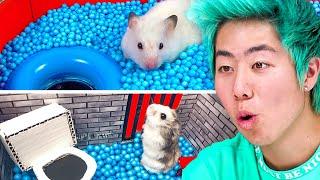 World’s Most Insane Hamster Mazes