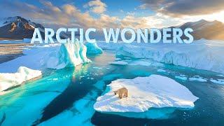 Arctic Wonders A Expedition to the Polar Ice