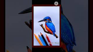 Kingfisher Drawing  Kingfisher Bird Drawing #shorts #drawing #kingfisher #art