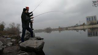 Рыбалка одной приманки. Street Fishing.