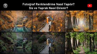 Fotoğraf Renklendirme Nasıl Yapılır? Sis Ve Yaprak Nasıl Eklenir?