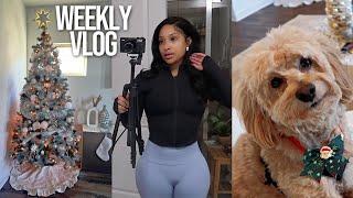 WEEKLY VLOG FINALLY PUTTING UP MY TREE DOG MOM DUTIES DIY HOT COCOA BAR & MORE