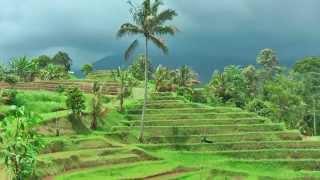 The rice fields of Jatiluwih Bali  would be the most beautiful of Indonesia