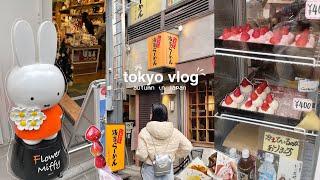 japan vlog  autumn in tokyo asakusa sensoji temple flower miffy ginza shopping streets udon