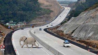 Inilah Rekor Proyek Jalan Tol Terpanjang Dan Termahal Indonesia