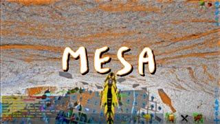 MESA Ark  First Weekend Raids Of 4Man Wipe