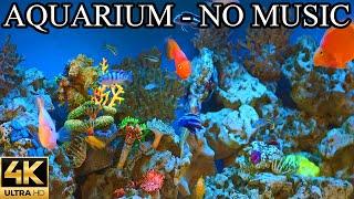 AQUARIUM 4K Coral Reef 4K Aquarium NO Music NO Ads - 8 Hours  Aquarium Sounds For Sleeping