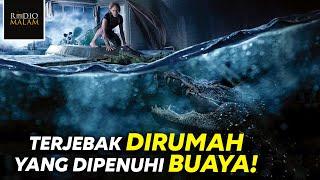 TERKEPUNG BUAYA DI RUMAH SAAT BADAI DAHSYAT - Alur Film Crawl 2019