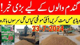 Now Gundam rate today in punjab Pakistan 2024Makki ka rate today punjabmunji rate today sarson