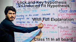 Lock and Key Vs induced fit hypothesis #purpose of enzymes