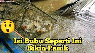 Angkat Bubu Udang Galah dan Bubu Ikan  Spot Bubu Di Sungai Air Payau.