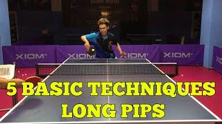 5 Basic Techniques Long Pips  Table Tennis Tutorial