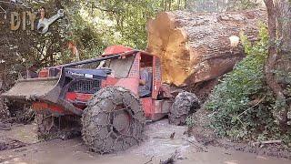 Incredible Extreme Dangerous Wood Tractor Operator Working - Fastest Tree Skidder Control Skill