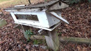 Its been 14 years since this top bar has been opened and we are transferring the bees.