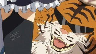 Tiger man love otokonoko  Gender doesnt matter for tigers  Anime moments  H-senpai 