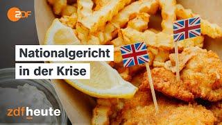 Fish and Chips bald unbezahlbar? Brexit blockiert britische Fischindustrie I auslandsjournal