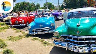Classic Cars 4K Varadero Cuba