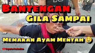 Bantengan Memakan Ayam Mentah  Ngeriii 