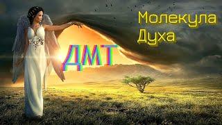 Документальный фильм о Аяхуаске