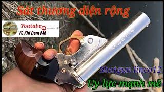 Súng Shotgun linco12 súng uy lực mạnh sát thương điện rộng