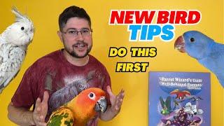 New Parrot Tips – First Week with a Bird