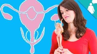 7 Stimulating Facts About the Clitoris