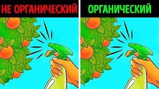 Органические продукты правда или миф?