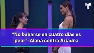 “No bañarse en cuatro días es peor” posicionamiento de Alana contra Ariadna   TELEMUNDO 40