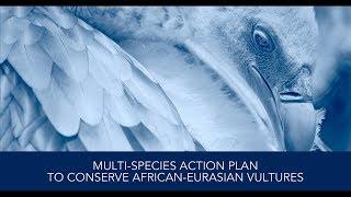 The African Vulture Crisis  Causes Consequences and Solutions English version