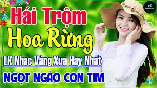 Hái Trộm Hoa Rừng  Nhạc Vàng Xưa Hay Nhất Vượt Thời Gian ÊM TAI DỄ NGỦ NGỌT NGÀO SÂU LẮNG CON TIM