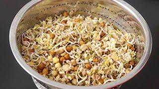 How To Grow Sprouts At Home - Mixed Sprouts