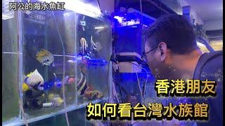 發現一家有特殊魚種的水族館-阿公的海水魚缸