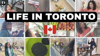 Toronto Vlog A Day in the Life - Groceries Home Projects and Cherry Blossoms  #prilacanada