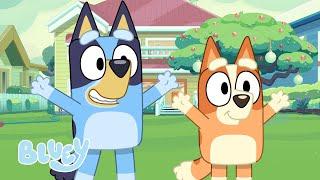 LIVE Outdoor Games with Bluey  FULL EPISODES  1 HOUR  Bluey