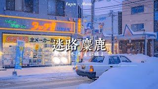 迷路麋鹿- 旺仔小乔倒悬的橘子——「我像麋鹿 迷路在想你的山谷 用雪花拼图 拼出专属你梦境的国度」（动态歌词lyrics）