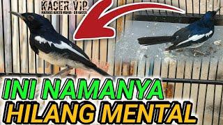 BENAR BENAR HILANG MENTAL RAWATANYA BEGINI  DR KACER TERBARU