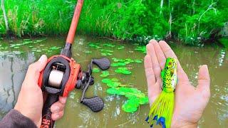 Topwater FROG Fishing HIDDEN Creeks for BIG BASS