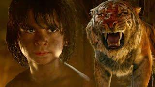 The Jungle Book  طفل اتربى في الغابة بيواجه أشرس نمر عايز يقتله بسبب تار قديم