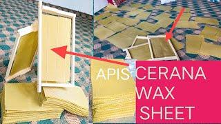 Apis cerana wax sheet installation How to install foundation sheet in frames #beesarecool #wax