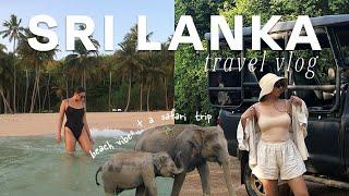 SRI LANKA TRAVEL VLOG 2024  safari beaches & forts 🫶